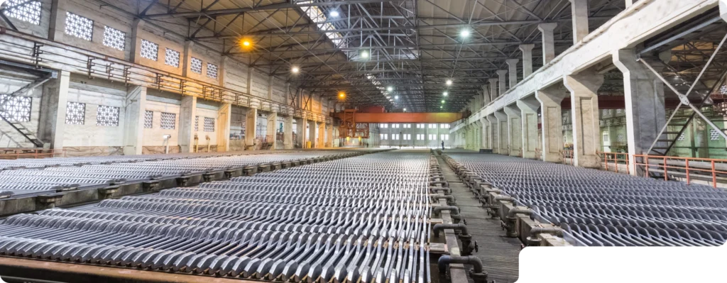 leading role in a zinc industry